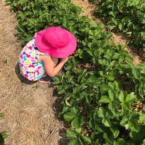 Meet your Posher, Mark